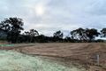 Property photo of 22 Bowerbird Court Thurgoona NSW 2640
