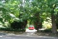 Property photo of 10 Coolabah Avenue Turramurra NSW 2074