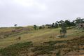 Property photo of 16 Barwick Road Sunbury VIC 3429