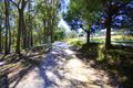 Property photo of 150 Den Road Pipers River TAS 7252