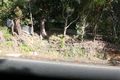 Property photo of 1392 Mountain Highway The Basin VIC 3154