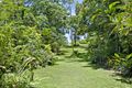 Property photo of 74 Evans Road Bramston Beach QLD 4871