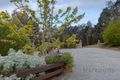 Property photo of 1010 Halls Track Road Pelverata TAS 7150