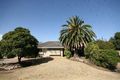 Property photo of 134 Cliff Street Glengowrie SA 5044