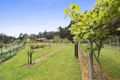 Property photo of 1010 Halls Track Road Pelverata TAS 7150