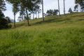 Property photo of 369 Dwyers Creek Road Moruya NSW 2537