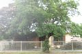 Property photo of 197 Main Road East St Albans VIC 3021