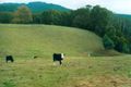Property photo of 132 Monbulk Road Mount Evelyn VIC 3796