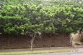 Property photo of 9 Myrniong Grove Hawthorn East VIC 3123