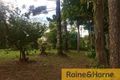 Property photo of 658 Beachmere Road Beachmere QLD 4510