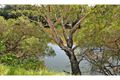 Property photo of 168 George Street West Swan WA 6055