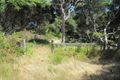 Property photo of 85 Seventh Avenue Anglesea VIC 3230