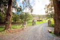 Property photo of 658 Falloons Road Ashbourne VIC 3442