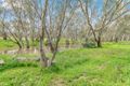 Property photo of 23 Chelsworth Drive Echuca VIC 3564