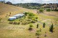Property photo of 1977 Myrtle Mountain Road Candelo NSW 2550