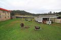 Property photo of 142 Nancy Bird Walton Drive Kew NSW 2439