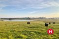 Property photo of 93 James Street Morpeth NSW 2321