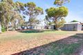 Property photo of 21 Cooper Street Berri SA 5343