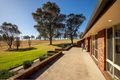 Property photo of 182 Coolagolite Road Coolagolite NSW 2550
