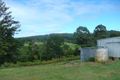 Property photo of 521-531 Diddillibah Road Diddillibah QLD 4559