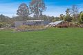 Property photo of 54 Perch Road Wells Crossing NSW 2460