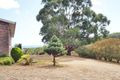 Property photo of 50 Littles Road Forth TAS 7310