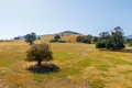 Property photo of Great Alpine Road Ovens VIC 3738