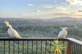 Property photo of 55 Broadwater Esplanade Bilambil Heights NSW 2486