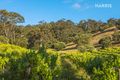 Property photo of 106 Turners Avenue Hawthorndene SA 5051