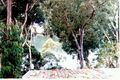 Property photo of 156 St George Crescent Sandy Point NSW 2172
