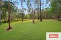 Property photo of 59 Teviot Road Carbrook QLD 4130