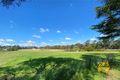 Property photo of 206 Minerva Road Wedderburn NSW 2560