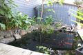 Property photo of 10 Sunnyside Avenue Cape Woolamai VIC 3925