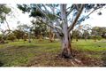 Property photo of 150 Sand Spring Road Julimar WA 6567