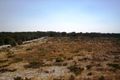 Property photo of LOT 2 Eldorado Road Muckenburra WA 6503