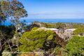 Property photo of 8 Second Avenue Anglesea VIC 3230
