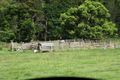 Property photo of 1259 Kilcoy-Beerwah Road Cedarton QLD 4514
