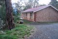 Property photo of 81 Wembley Avenue Bridgewater SA 5155