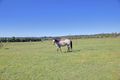 Property photo of 4 Croker Place Crookwell NSW 2583