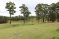 Property photo of 1333 Collombatti Road Collombatti NSW 2440