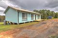 Property photo of 1333 Collombatti Road Collombatti NSW 2440