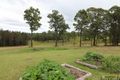 Property photo of 1333 Collombatti Road Collombatti NSW 2440