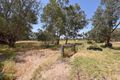 Property photo of 44 Stock Road Herne Hill WA 6056