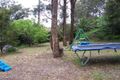 Property photo of 17 Haleys Gully Road Hurstbridge VIC 3099