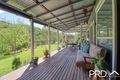 Property photo of 279 Sawpit Creek Road Sawpit Creek NSW 2474