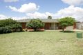 Property photo of 9 Elanora Place Glenfield Park NSW 2650