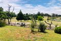 Property photo of 18E Hill Street Walcha NSW 2354