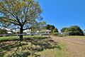 Property photo of 1144 Kingsvale Road Young NSW 2594