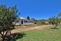 Property photo of 1144 Kingsvale Road Young NSW 2594