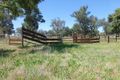 Property photo of 462 Warral Road Warral NSW 2340